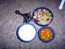 Sugar Glider baby and Glider diet