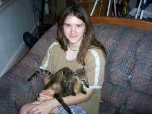 Coatimundi babies