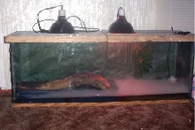 Sirens tank