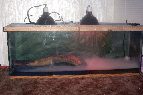 Sirens tank
