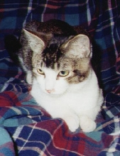 Mia