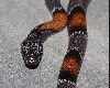 EsandersonM2