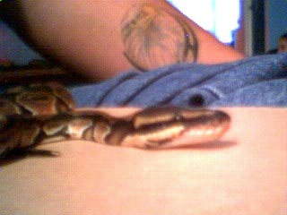 My baby damien