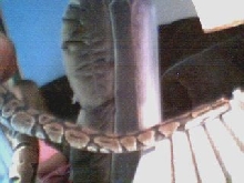 My big baby