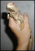One of my Mali's