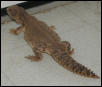 Clark 8-26-02