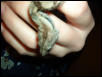 FOR USE ON Message -b