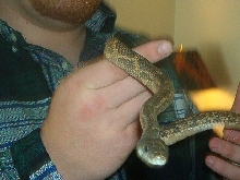 what do you think this guy is?