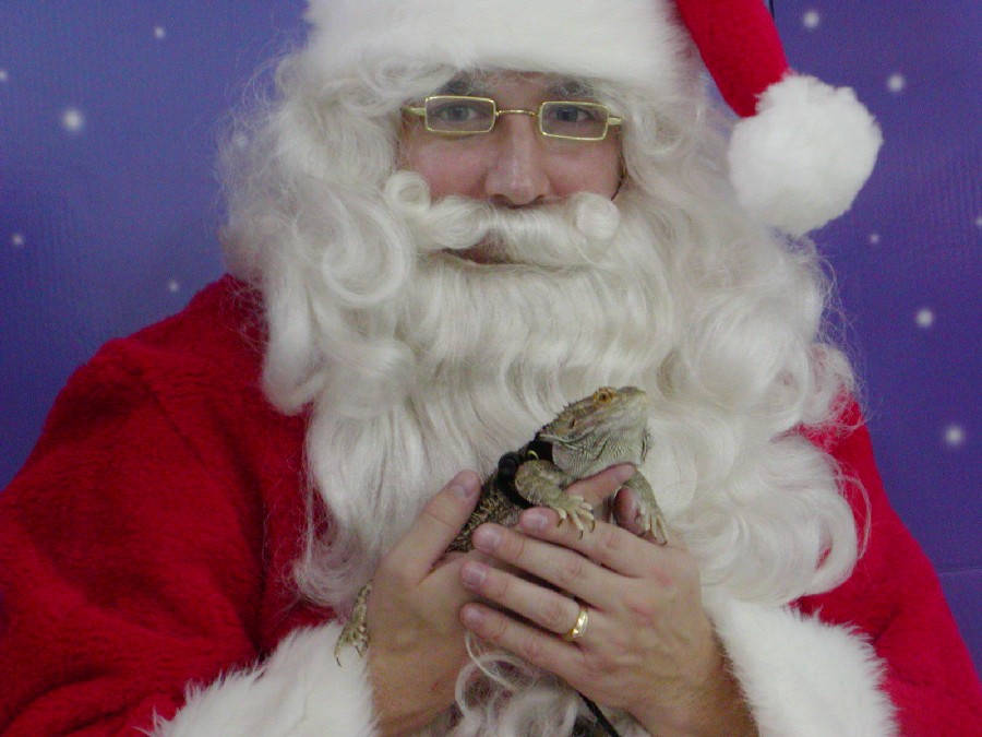 Pepe with Santa Claus