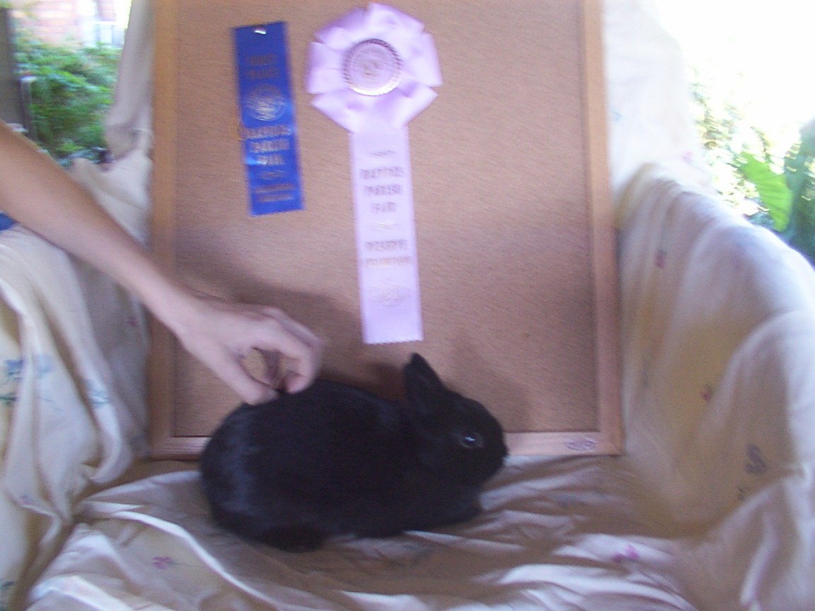 Black Magic won!!!