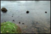 The White River