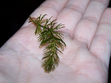 What is this?