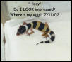 Hissy
