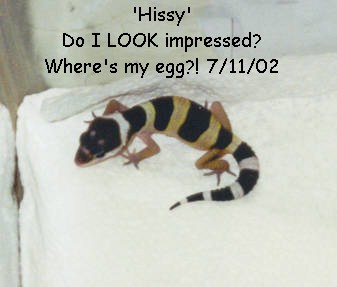 Hissy