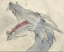 Dragons Own