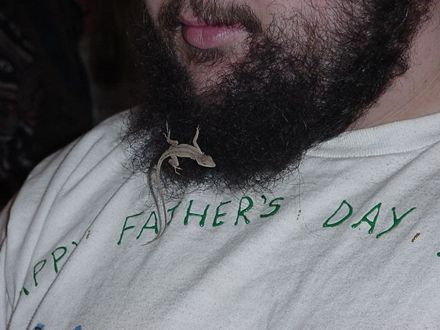 New beard decoration...