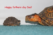Father&Son