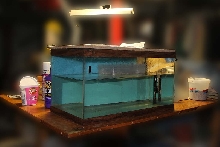 Incubator01