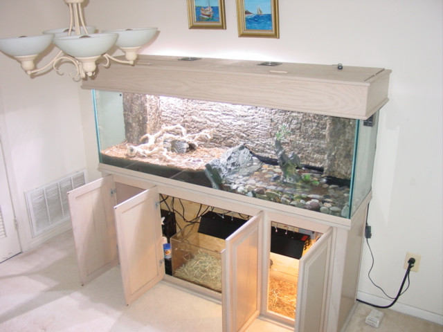 BABY NILES NEW HOME