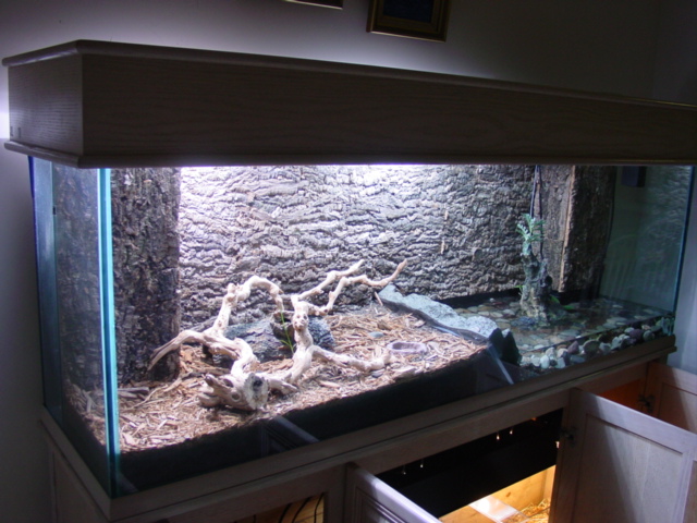 TERRANIUM