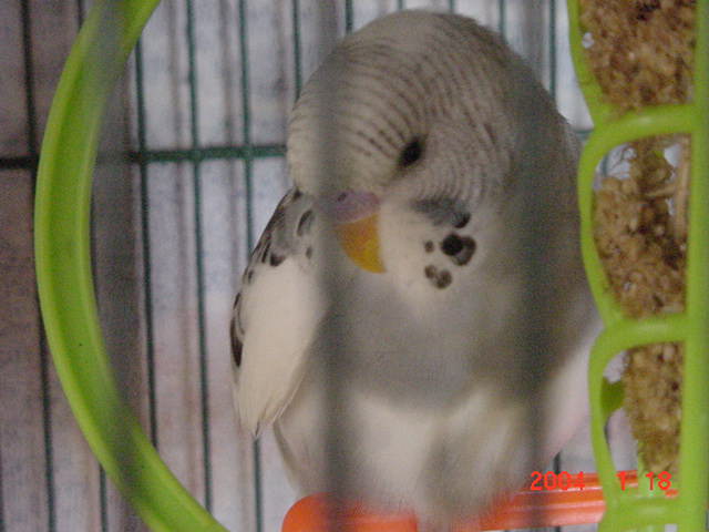 Isn't he cute?