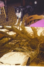 my best friend of 16 yrs