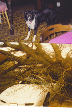 my best friend of 16 yrs