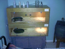 columbian cag setup