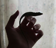 Wizard Silhouette 2