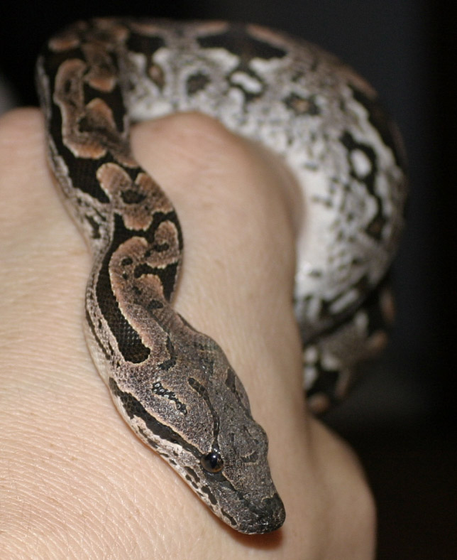 My Dumeril
