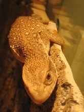 Hangin around