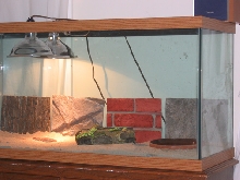 Tank