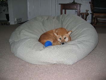 Artemis' beanbag