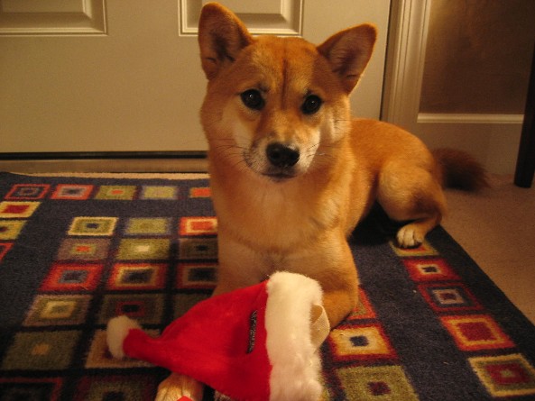 Artemis Holiday 2004