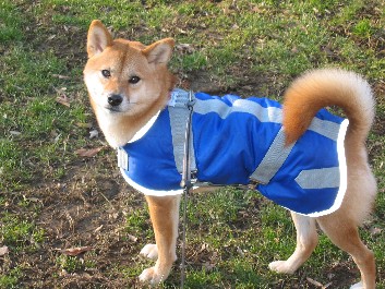 New Coat