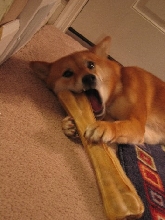Big bone 2