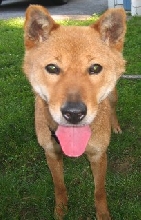 Foster 1