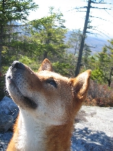 mountain3