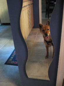 Pretty Foster 2
