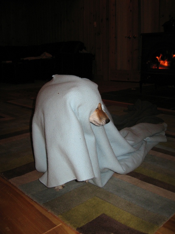 Where's Artemis?