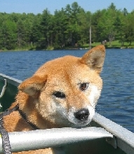 Artemis canoe