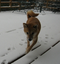 Artemis snow November 07