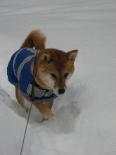 SnowDec07