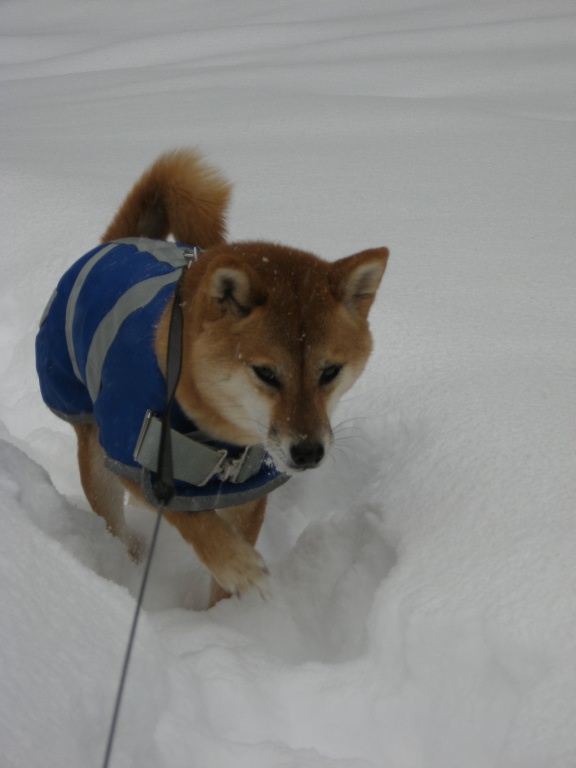 SnowDec07