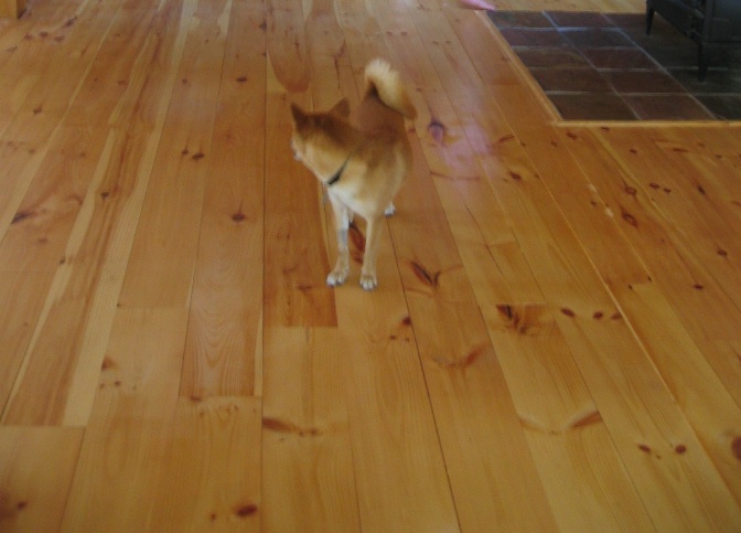 Artemis near deck
