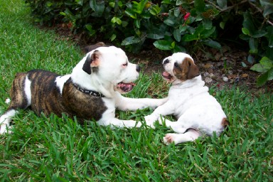 Ricky and Lucy