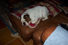 Sleeping Beauty