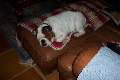 Sleeping Beauty