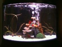 minibow 7