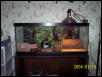 20 long with tile substrate